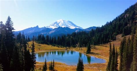 Seattle All-Inclusive: Hike Mt. Rainier and Wine Tasting | GetYourGuide