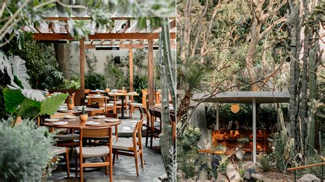 Botánico restaurante en la Condesa, CDMX - México Desconocido