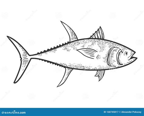 Tuna Fish Sketch Vector Illustration Stock Vector - Illustration of ...