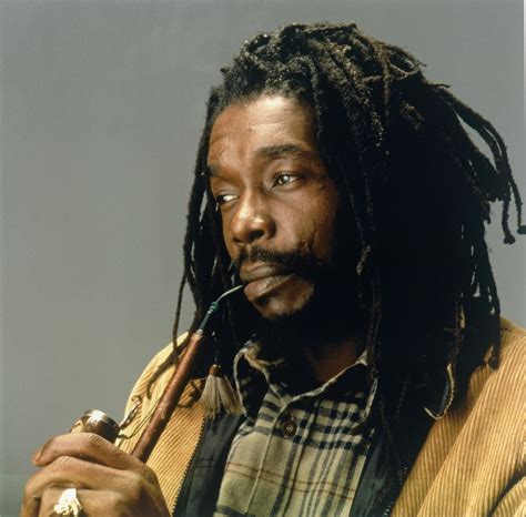 Peter Tosh Legalize It Album Free Download - engava