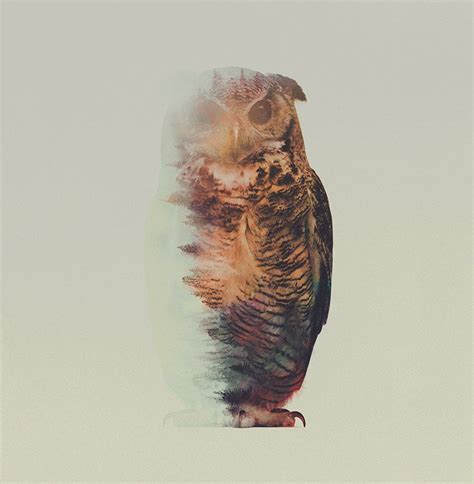 Animal Kingdom: The Double Exposure Portraits Of Animals By Andreas Lie ...