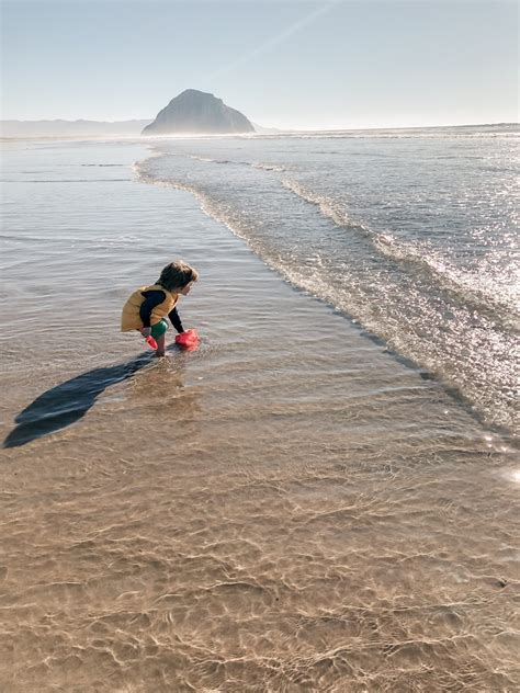 Morro Strand State Beach, Morro Bay | Two In Tow & On The Go