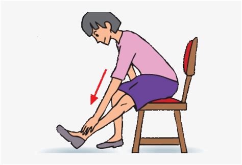 Seated Hamstring Stretch For Elderly - Free Transparent PNG Download - PNGkey