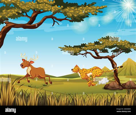 Tiger grass prey Stock Vector Images - Alamy