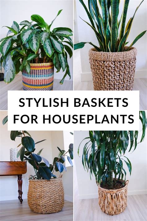 25 Baskets for Plants (2024 Guide) | Joy Us Garden