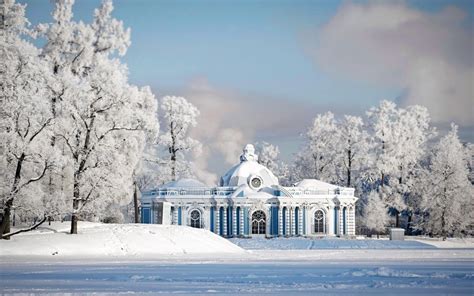 Snow in St. Petersburg palace in the woods wallpapers and images ...