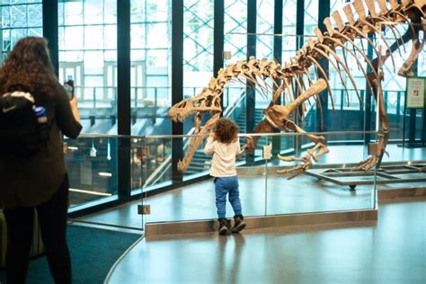 Chicago Children's Museum Reviews | U.S. News Travel