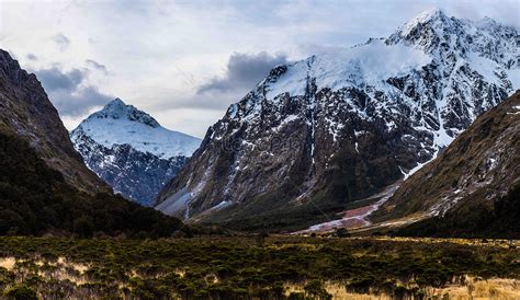 New Zealand Fjord National Park Picture And HD Photos | Free Download ...