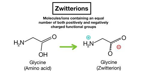 What Is Zwitterion? Science Query, 56% OFF