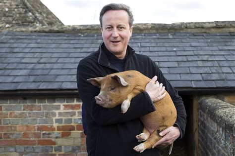 Why Your David Cameron Pig Joke Is Completely Missing the Point | Vanity Fair