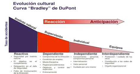 Dupont Bradley Maturity Curve