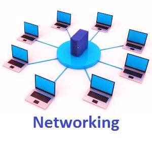 Networking || Definition,Types, Advantages, Disadvantages & Applications