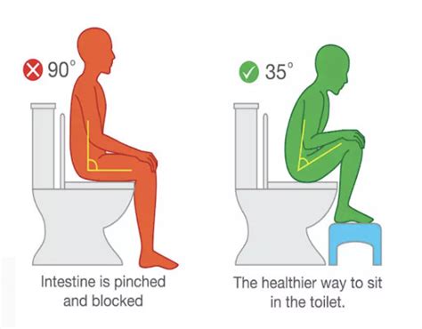 How To Poop Like A Unicorn - Stride Physio