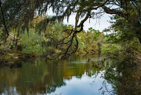 Suwannee River State Park, a Florida State Park located near Live Oak, Madison