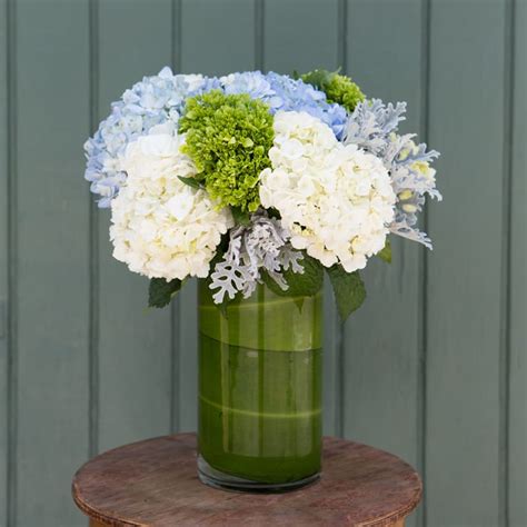 Blue and White Hydrangeas in Metairie, LA | Grow With Us Florist