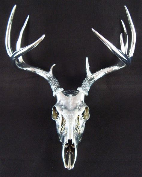 29 best Decorated Deer Skulls images on Pinterest | Deer antlers, Deer ...