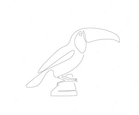 Premium Vector | Pelican one line art unusual bird single linear art vector illustration birds ...