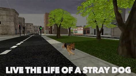 Stray dog simulator - postpastor