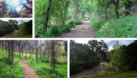 10 Running Trails That Inspire Austinites to Lace Up Their Shoes - The Austinot