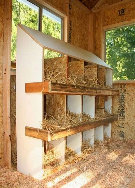 Building a Cozy Chicken Nesting Box In 7 Simple Steps! – Your Projects@OBN