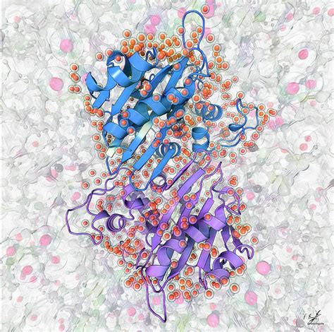 Beta-lactamase Molecule Photograph by Francisco J. Enguita/science ...