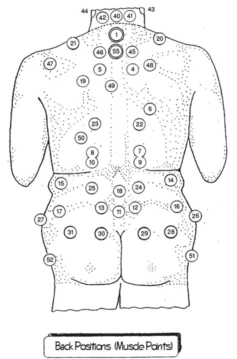 Hijama / Cupping Points on the Back of the Body