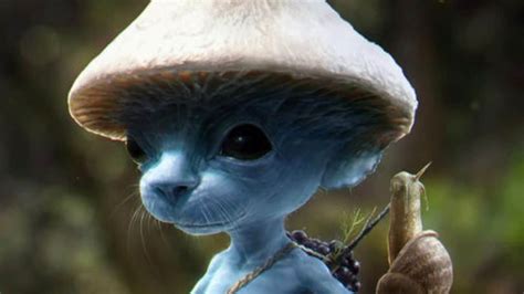 What is The Blue Smurf Cat Meme Taking Internet By Storm? Here is All You Need to Know - News18