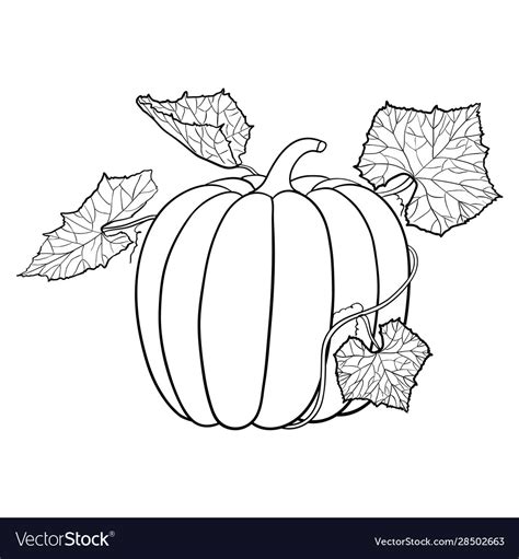 Pumpkin with leaves outline icon Royalty Free Vector Image