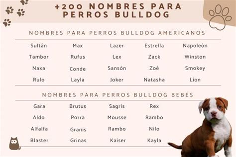 +200 nombres para perros bulldog - Francés, inglés y americano