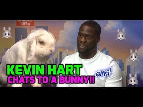 The Secret Life of Pets: Real bunny rabbit interviews Kevin Hart! - YouTube