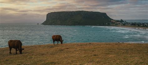 North West Tasmania