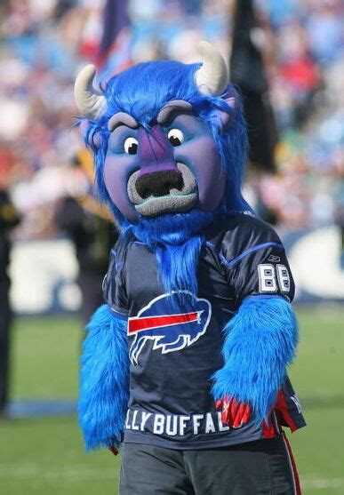 Billy Buffalo | Mascot Wiki | Fandom