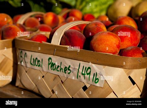 Fresh South Carolina peaches at an organic local produce farmers market ...