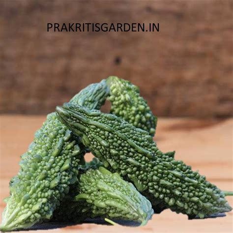 Bitter Gourd / Karela Hybrid Seeds ( Long ) - Prakriti's Garden