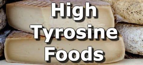 Top 10 Foods Highest in Tyrosine