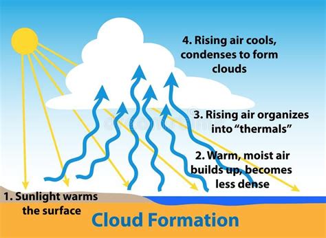 Diagram Of How Roll Clouds Structure And Formation Cloud For