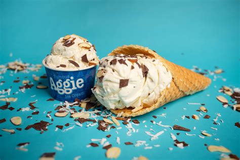 Aggie Ice Cream | USU