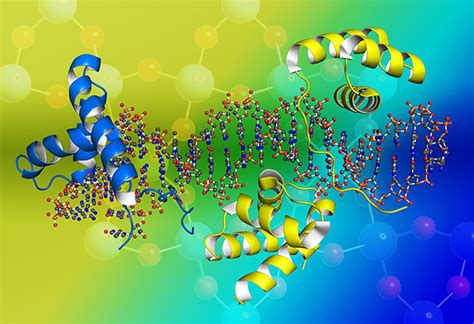 New way to isolate DNA- and RNA-protein complexes | EMBL