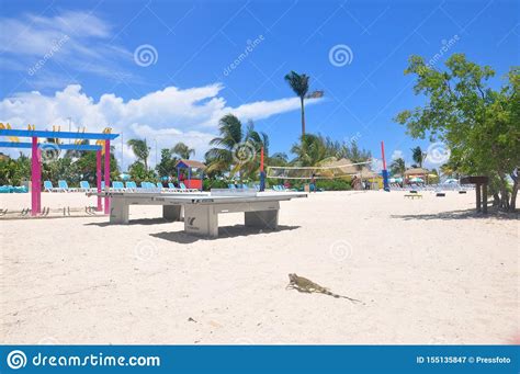 Perfect Day CocoCay Island and Waterpark Stock Image - Image of destination, bungalow: 155135847