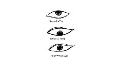 Sanpaku Eyes: What Is It? What Personality Do They Have?