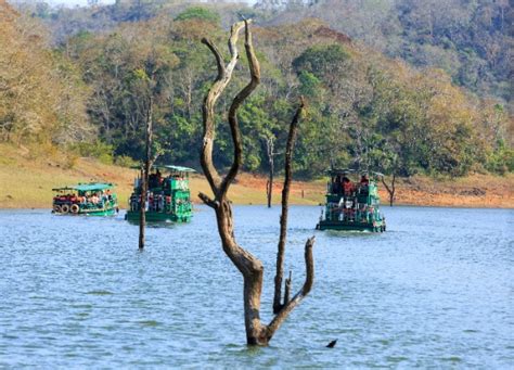 Periyar Boating