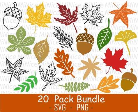 Fall Leaves SVG Bundle Autumn Leaves Svg autumn Svg fall | Etsy