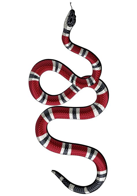 Decal Kingsnakes Gucci Sticker Serpent Download HD PNG Transparent HQ ...