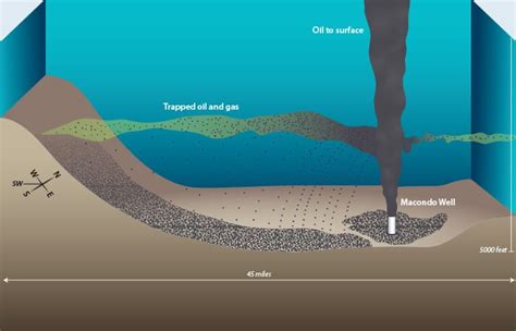 The Deepwater Horizon Oil Spill – Woods Hole Oceanographic Institution