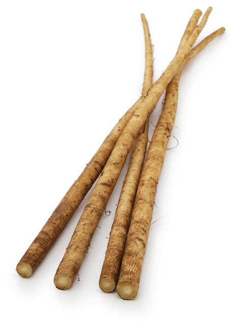 Health Benefits of Burdock Root - Healthier Steps