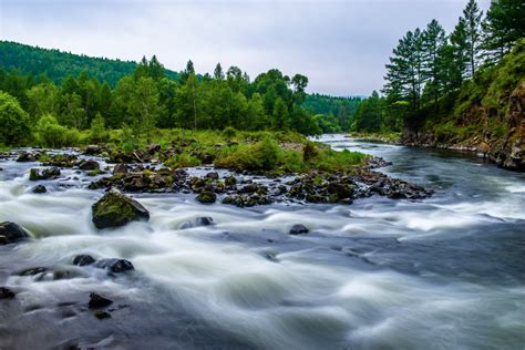 River Scenery In The Forest Background, Scenery, Natural, Color Background Image And Wallpaper ...