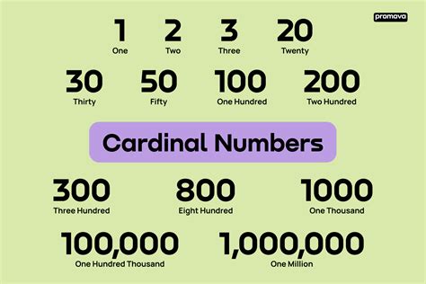 What Are Cardinal Numbers And How To Use Them Correctly?