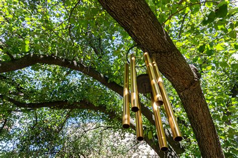 Windchime Pictures | Download Free Images on Unsplash