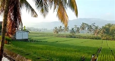 Viral, Desa Terpencil di Jawa Tengah Punya Pemandangan Indah Layaknya Lukisan Alam