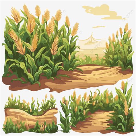 Corn Field Vector, Sticker Clipart An Illustration Of A Field Of Corn ...